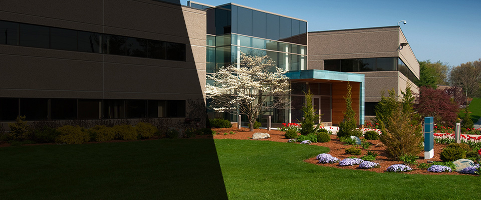 New Braunfels Landscapers