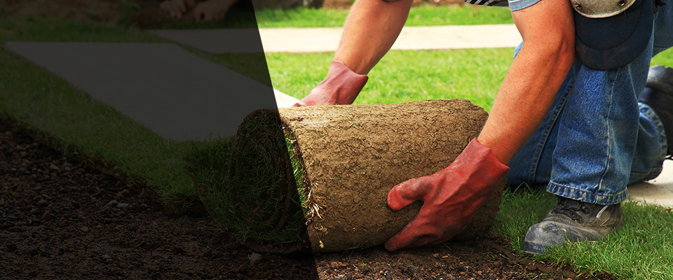 New Braunfels Landscapers